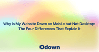 Why Is My Website Down on Mobile but Not Desktop: The Four Differences That Explain It