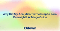 Why Did My Analytics Traffic Drop to Zero Overnight?