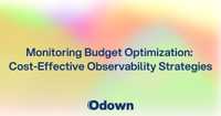 Monitoring Budget Optimization: Cost-Effective Observability Strategies