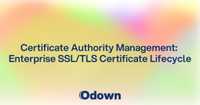 Certificate Authority Management: Enterprise SSL/TLS Certificate Lifecycle