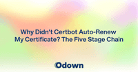 Why Didn't Certbot Auto-Renew My Certificate?