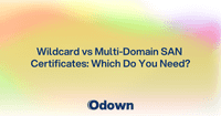 Wildcard vs Multi-Domain SAN: Which Do You Need?