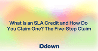 What Is an SLA Credit and How Do You Claim One?