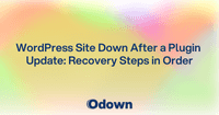 WordPress Site Down After a Plugin Update: Recovery Steps in Order